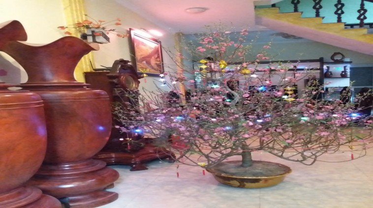 Cho thuê nhà riêng Phân Lô Nguyễn Hữu Thọ , Hoàng Mai, 40m2  x 4 tầng - Giá 14tr